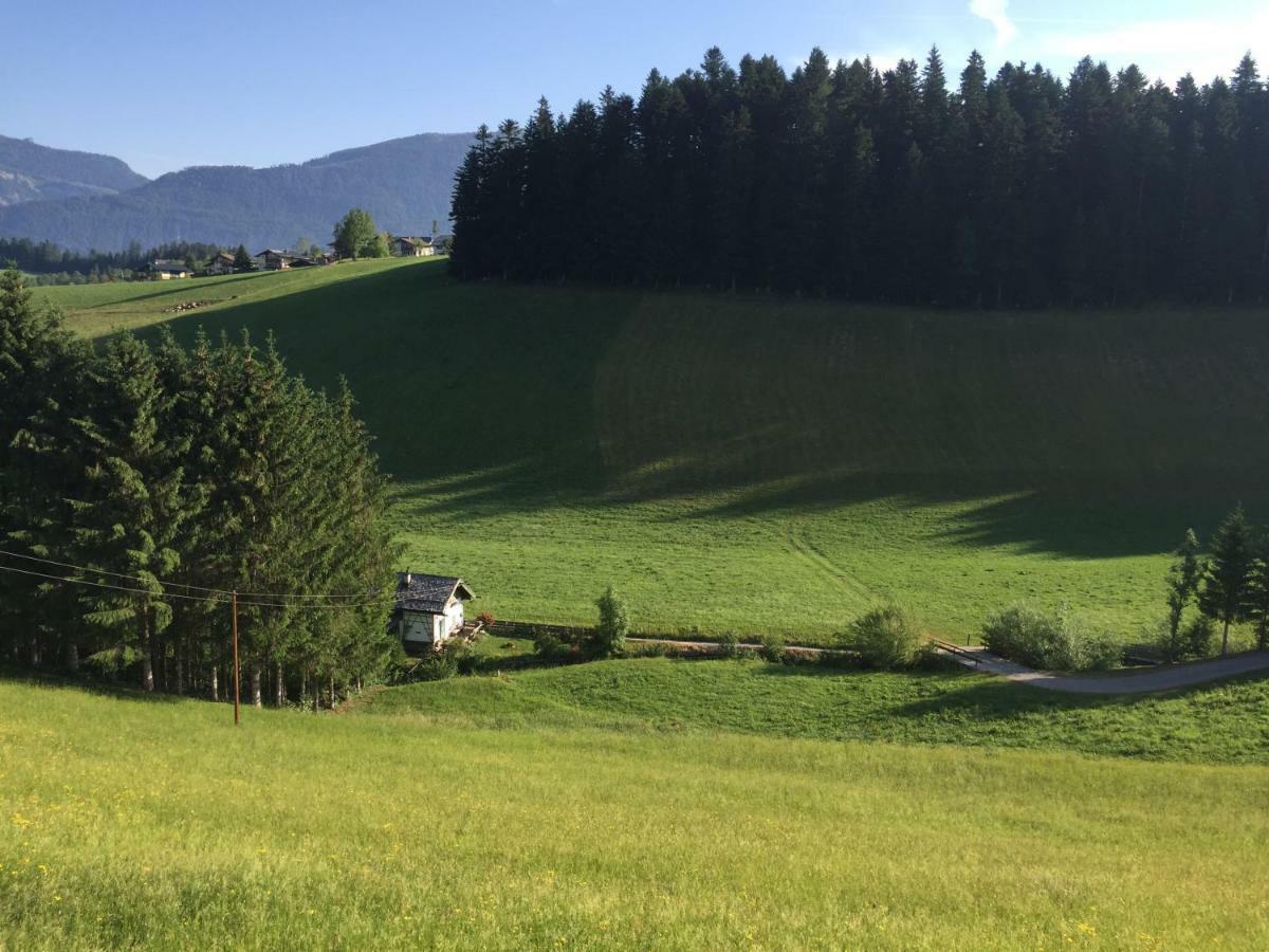Haus Sperleiten Abtenau Exterior foto